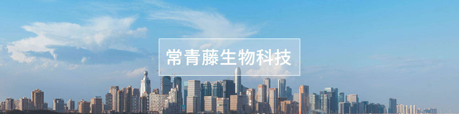 細(xì)胞營(yíng)養(yǎng)液代理,葡萄藍(lán)莓粉加盟