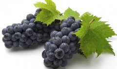 吃葡萄籽保健品有什么好處和壞處和副作用(女生長(zhǎng)期吃葡萄籽好嗎)