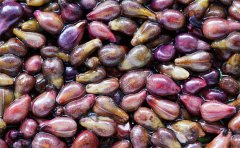 葡萄籽粉代加工廠家(葡萄籽提取物原料價(jià)位多少)