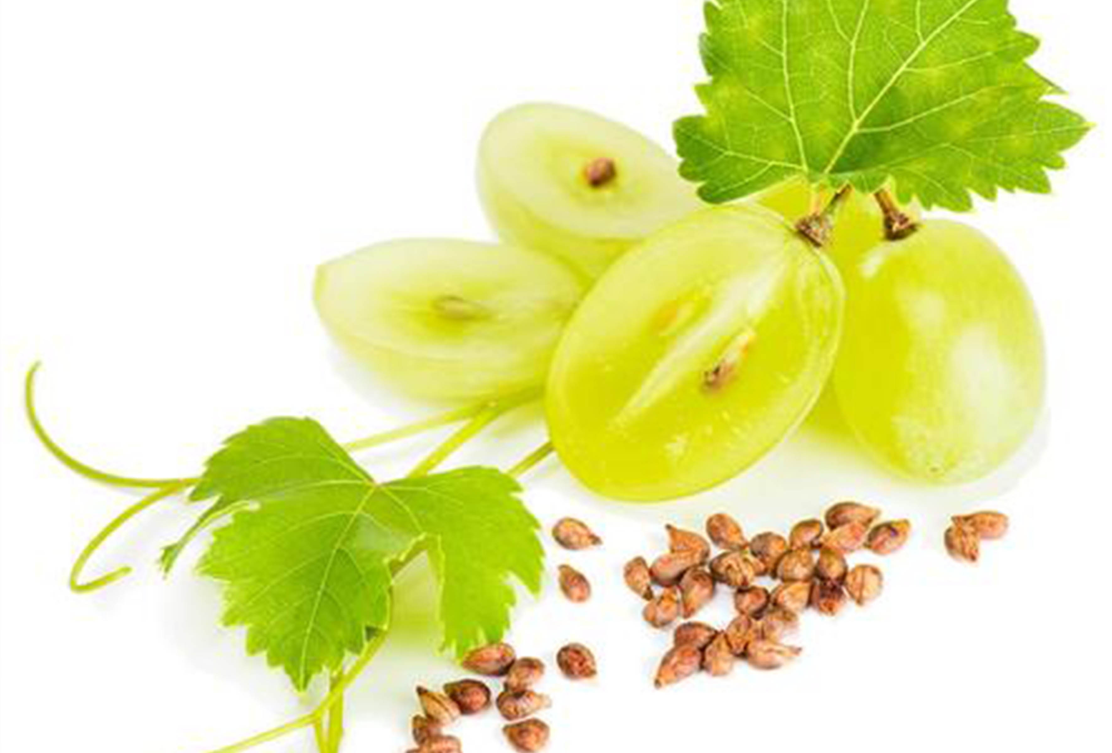 <b>吃葡萄粉葡萄籽提取物好處多是什么？</b>