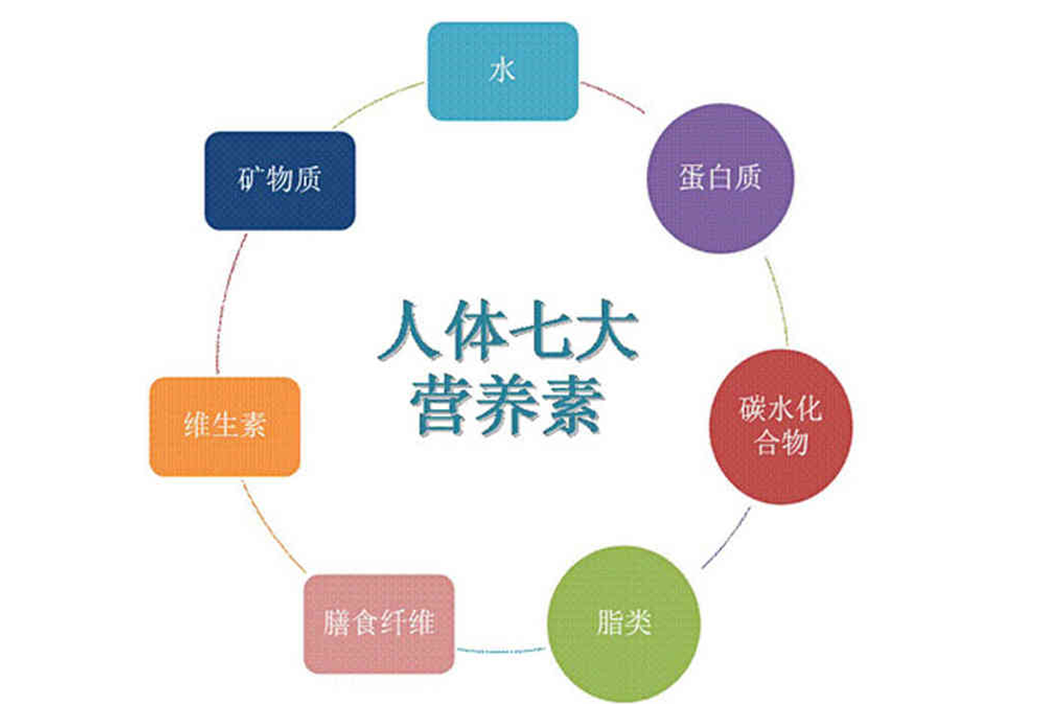 <b>細胞營養(yǎng)液功效作用？</b>